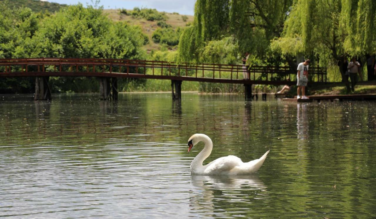 British Hotel Pogradec Exterior photo